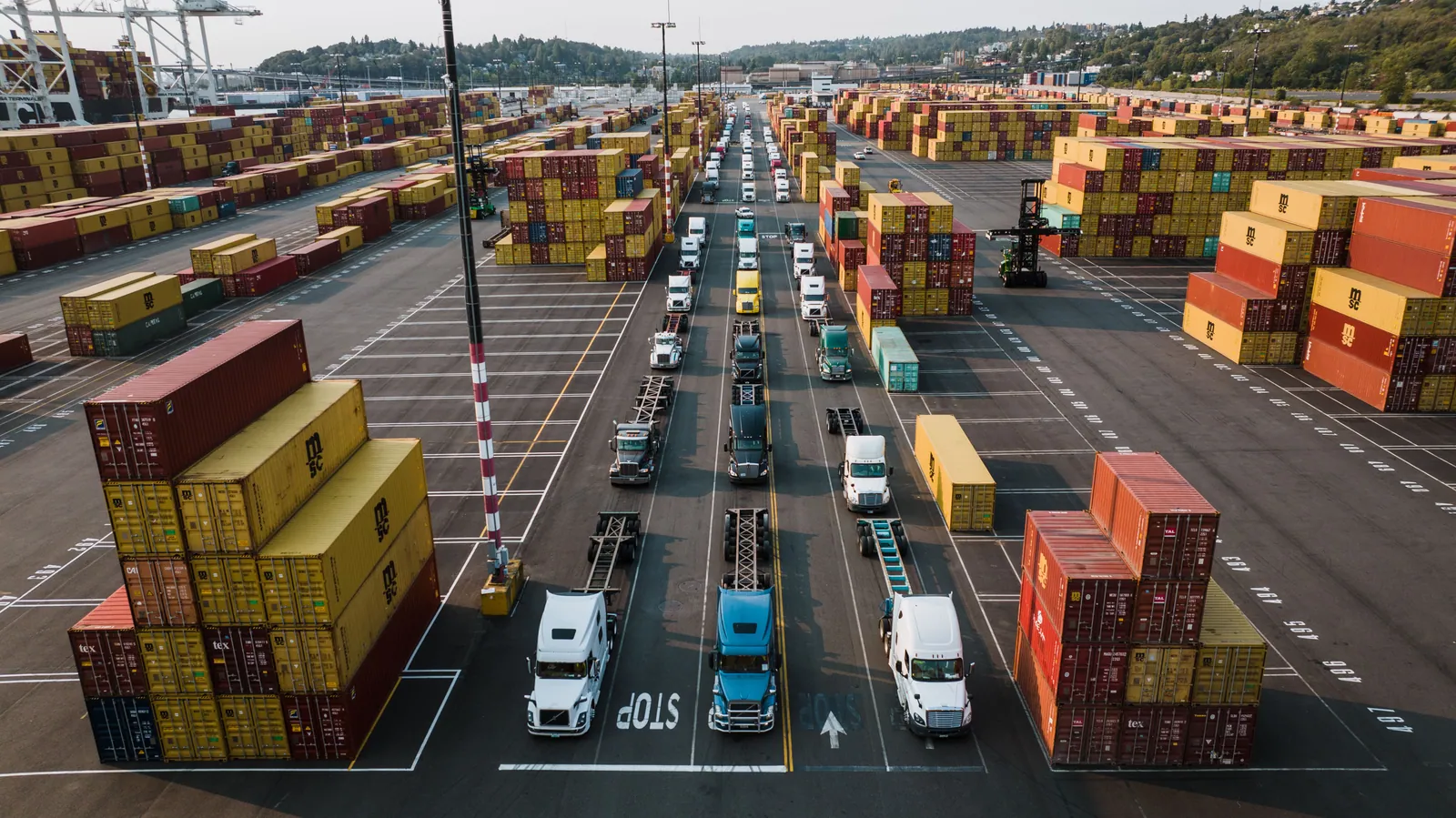 Trucks lined up beside shipping containers at a Seattle port terminal